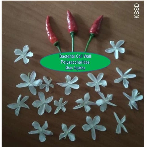 Bacterial cell wall polysaccharides kssd