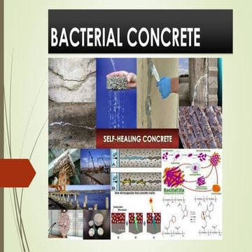 Bacterial concrete