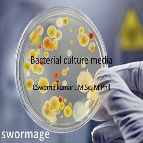 Bacterial Culture media