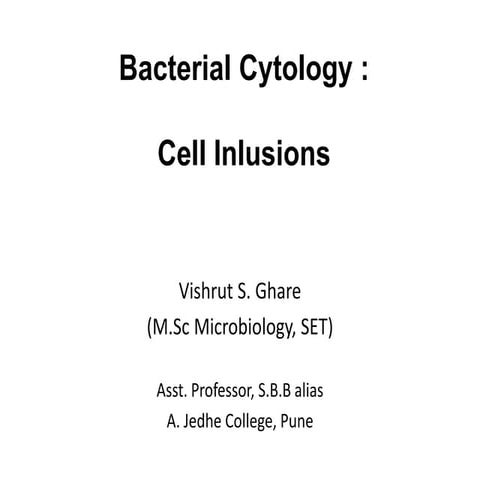 Bacterial cytology  cell inclusions