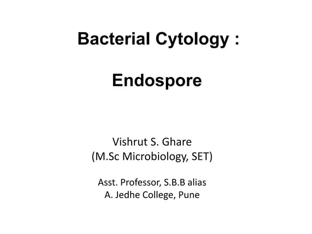 Bacterial cytology  endospore