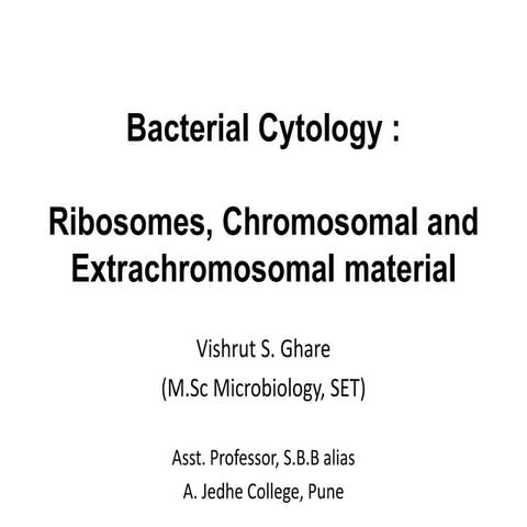 Bacterial cytology   ribosomes, chromosomal and extrachromosomal material