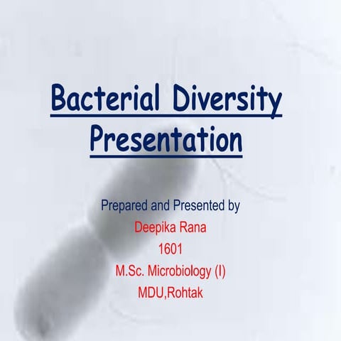 Bacterial diversity presentation1