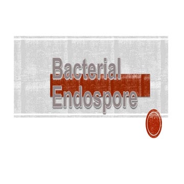 Bacterial endospore