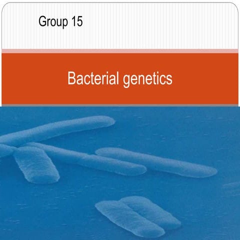 Bacterial genetics