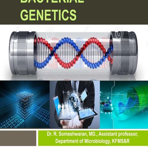 Bacterialgenetics 24 10 2015 151215144723 Pdf