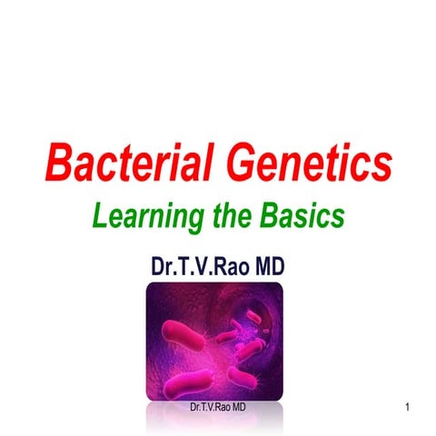 Bacterial genetics. Basics