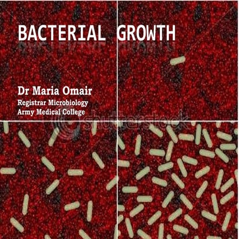 Bacterial Growth