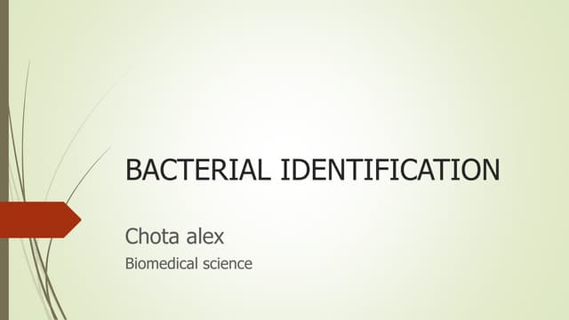 Bacterial identification