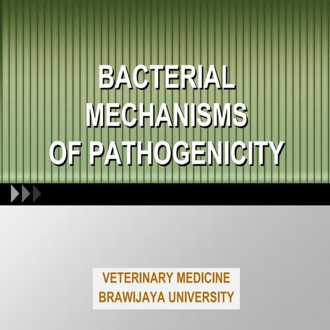Bacterial mechanism 5