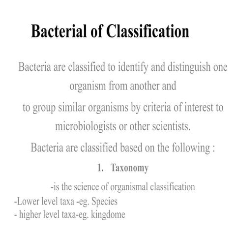 Bacterial of Classification.pptx