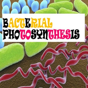 BACTERIAL PHOTOSYNTHESIS 