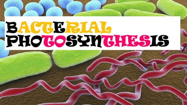 BACTERIAL PHOTOSYNTHESIS 