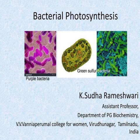 Bacterial photosynthesis  2020