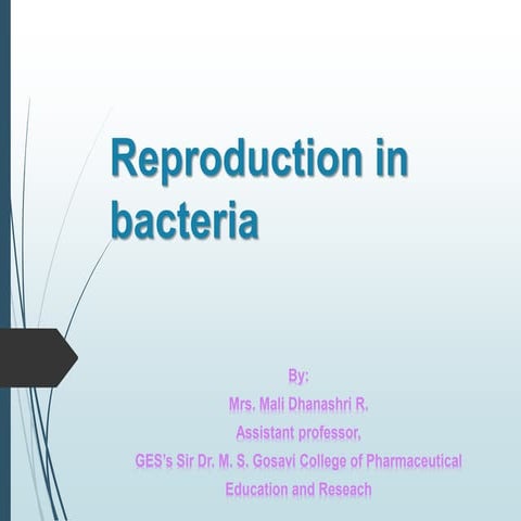 Bacterial replication