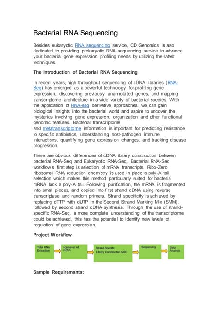 Bacterial Rna Sequencing Pdf Bacterial Rna Sequencing Pdf
