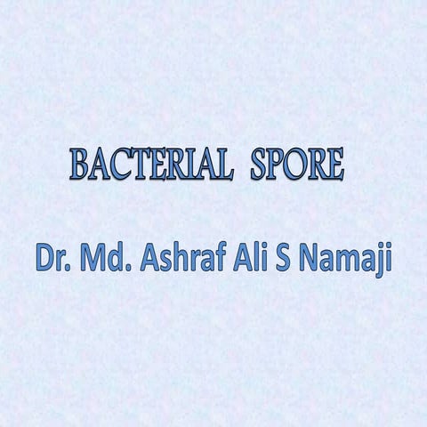 bacterial spore.ppt