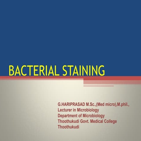 Bacterial staining
