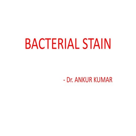 Bacterial staining