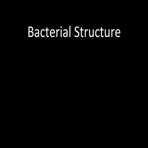 Bacterial structures