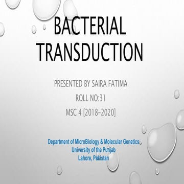 Bacterial transduction  