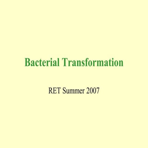 Bacterial transformation