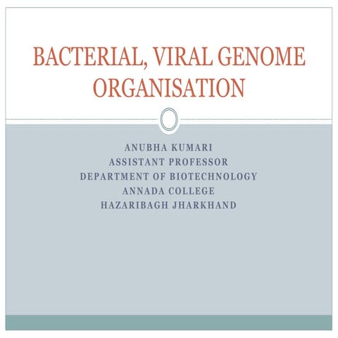 Bacterial, viral genome organisation 