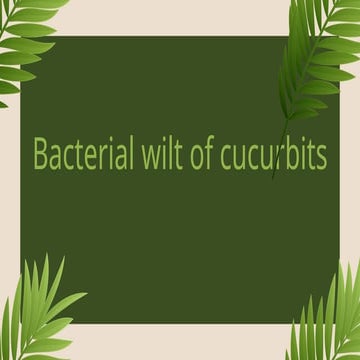 BACTERIAL WILT OF CUCURBITS power presen | PPTX