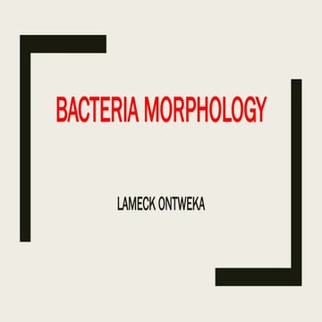BACTERIA MORPHOLOGY and characterization