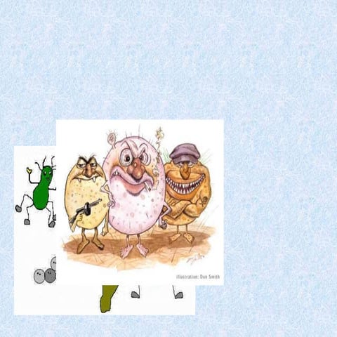 Bacteria  muslppt.ppt