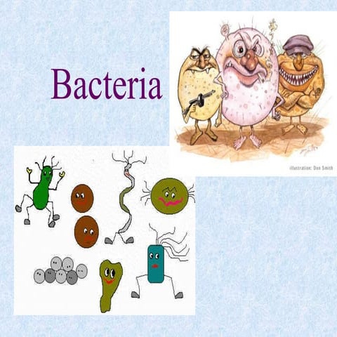 Bacteria structer and function. grows,..