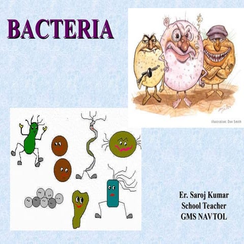Bacteria , there characteristics, disease etc