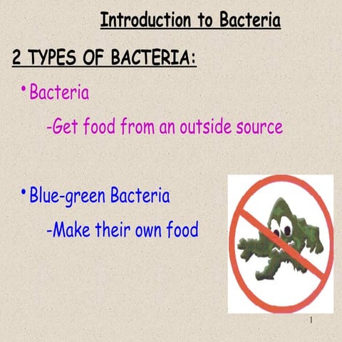 Bacteria | PPTX