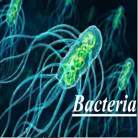 Introduction to Bacteria .. 
