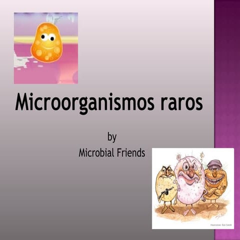 Bacteria Rara | PPT
