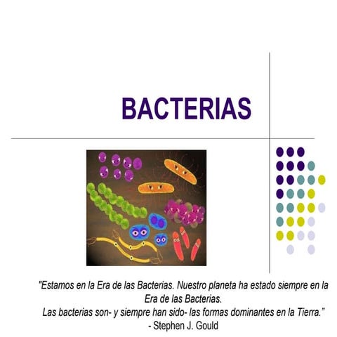 Bacterias
