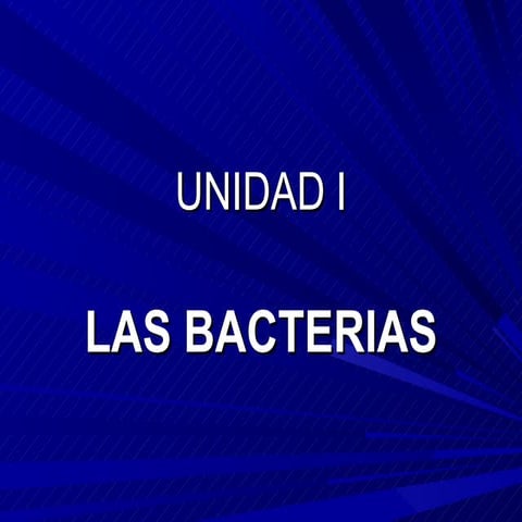 Bacterias