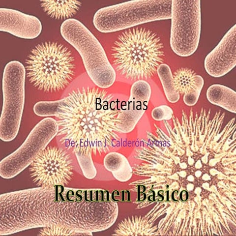 Bacterias(Modo básico)