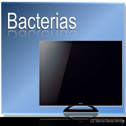 Bacterias