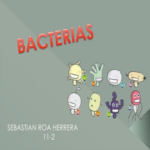 Bacterias