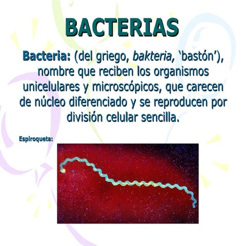 Bacterias