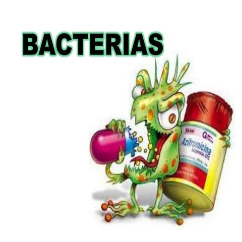 Bacterias