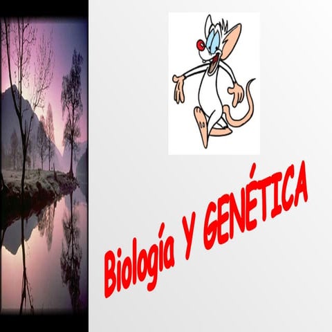 Las  Bacterias