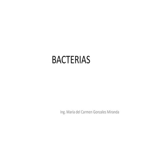 Bacterias