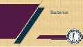 Bacterias 1 bacterias 211114011012 thumbnail 2