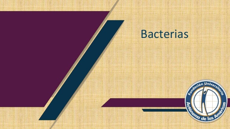 Bacterias 3 bacterias 211114011012 thumbnail 4