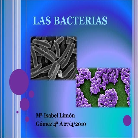 bacterias.pptxdvddvxcvxcvxdxfvfsdfsghsrsdfhrdfhdf