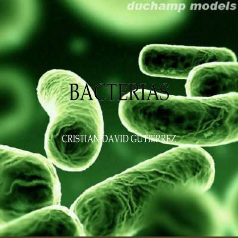 Bacterias 9 c