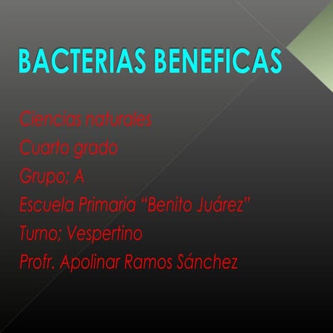 Bacterias beneficas