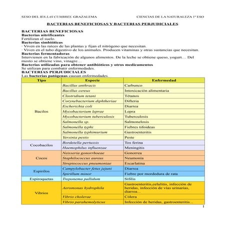 Bacterias beneficiosas y bacterias perjudiciales